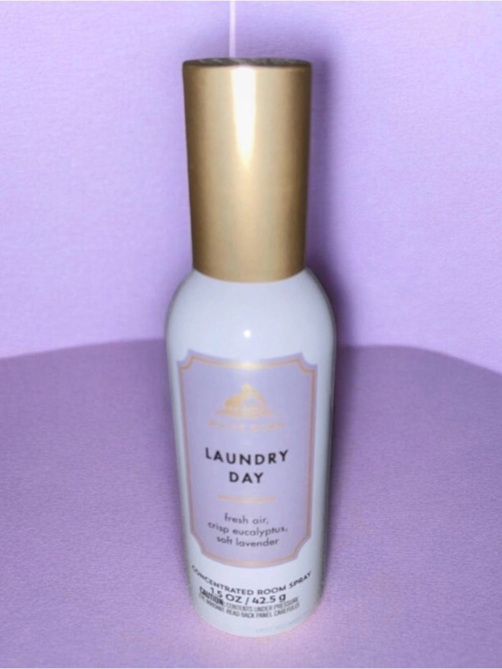 Bath & Body Works White Barn Laundry Day Room Spray